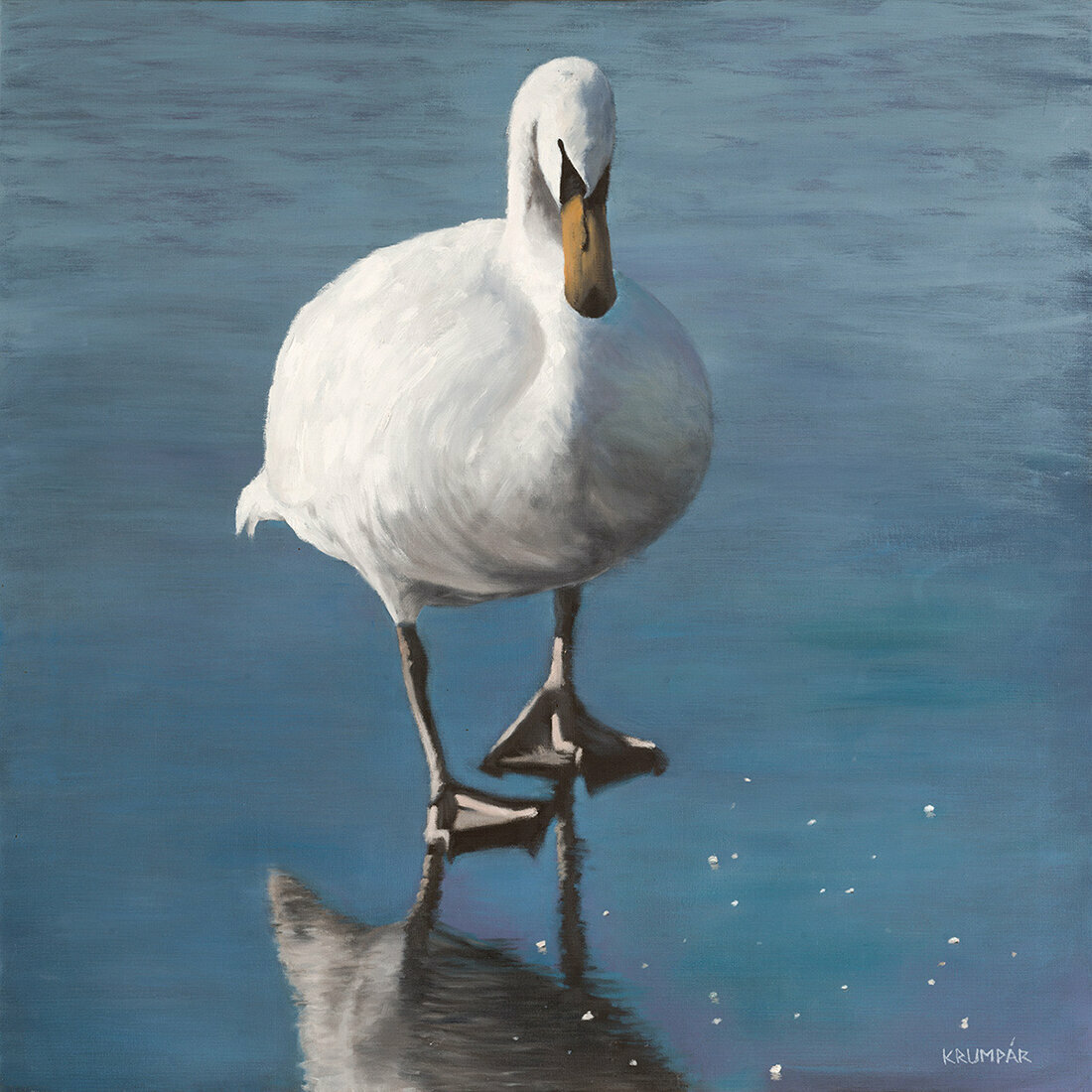Swan /SOLD/